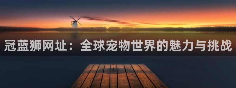 大满贯网址