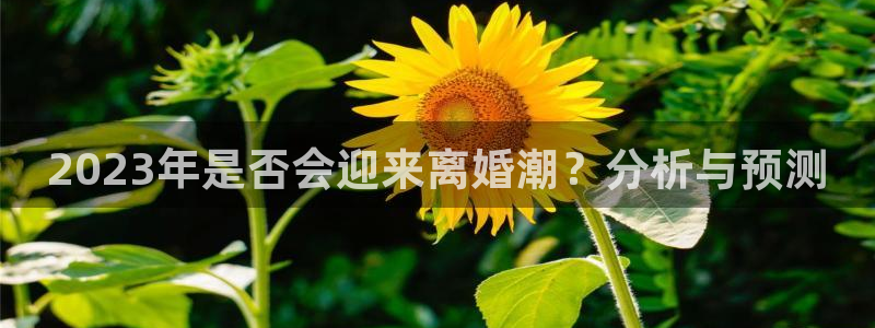 商赢乐点