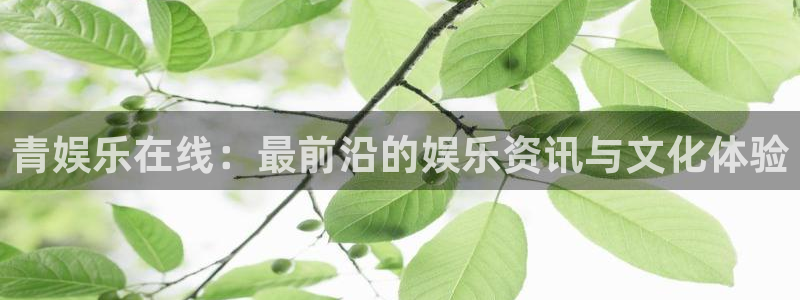 赢乐宝app下载
