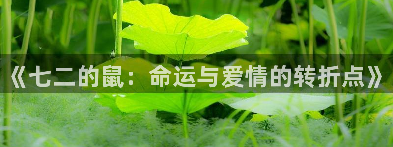 赢乐网官网