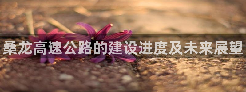 赢乐app下载安装