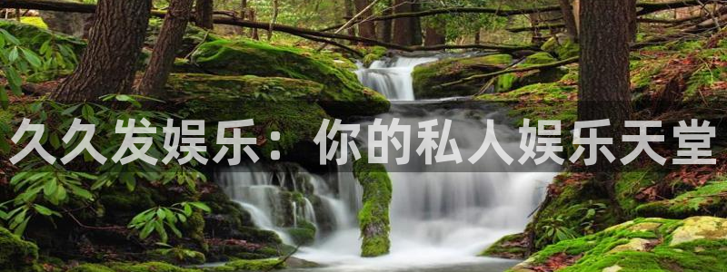 赢乐棋盘