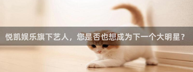 人生就是搏手机版