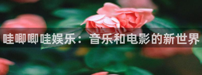 赢乐
