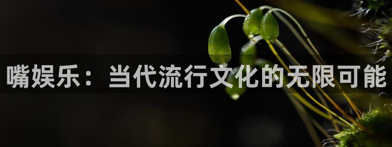 赢乐大厅官网.facca.中国