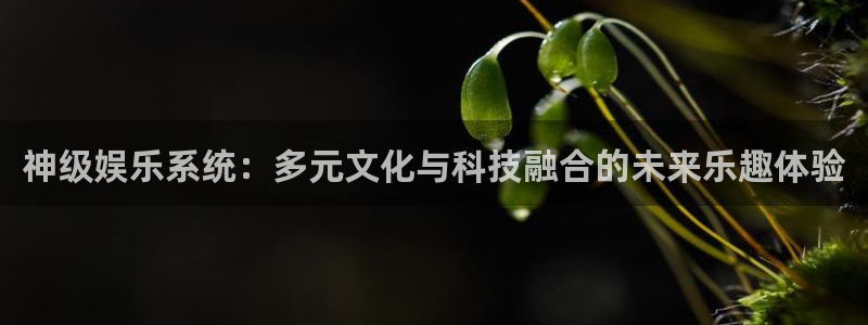 赢乐宝app下载