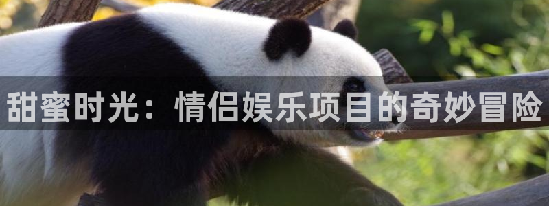 商赢乐点
