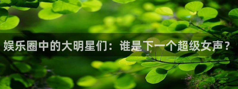 大满贯网址