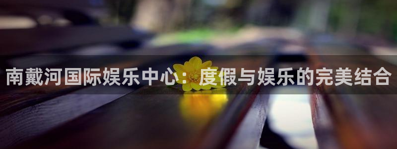赢乐棋盘：南戴河国际娱乐中心：度假与娱乐的完美结合