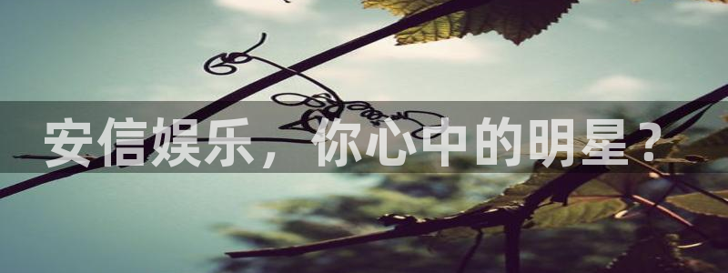狗子28：安信娱乐，你心中的明星？