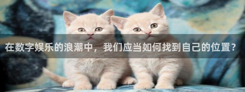 赢乐平台：在数字娱乐的浪潮中，我们应当如何找到自己的位置？