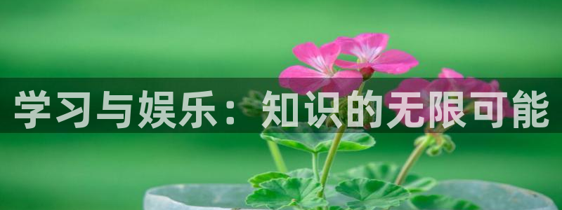 人生就是搏手机版：学习与娱乐：知识的无限可能