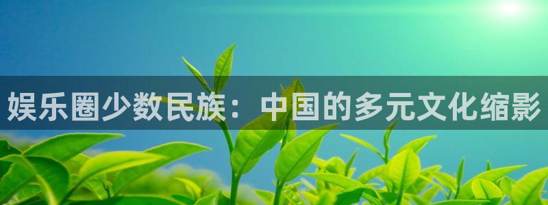 赢乐宝app下载：娱乐圈少数民族：中国的多元文化缩影