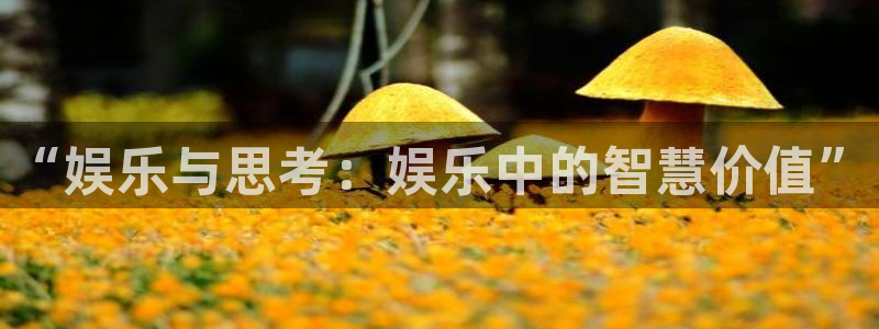 商赢乐点：“娱乐与思考：娱乐中的智慧价值”