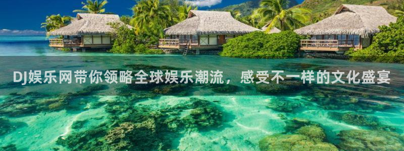 赢乐app下载安装：DJ娱乐网带你领略全球娱乐潮流，感受不一样的文化盛宴