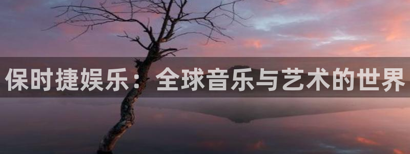 赢乐麻将：保时捷娱乐：全球音乐与艺术的世界