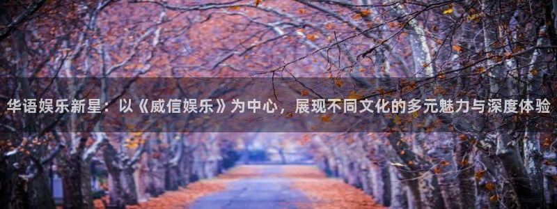 黄石华赢乐家装饰公司怎么样：华语娱乐新星：以《威信娱乐》为中心，展现不同文化的多元魅力与深度体验
