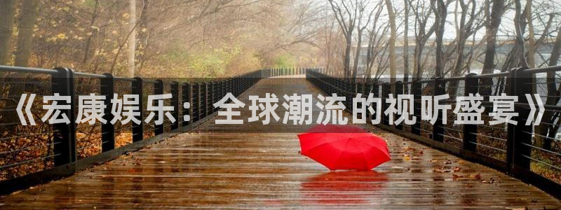 赢乐：《宏康娱乐：全球潮流的视听盛宴》