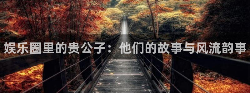 赢乐：娱乐圈里的贵公子：他们的故事与风流韵事
